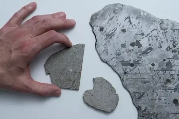 Ein Handrücken gibt die Skala des Bildes vor und füllt die Bildhöhe zu zwei Dritteln. Das Bild ist im Querformat, und rechts von der Hand liegen drei flache Schnitte aus Meteoriten, die alle metallisch glänzen. Das mittelgroße Stück reicht von Daumen bis Zeigefinger der Hand. Das größte Stück liegt ganz rechts und ragt noch bis über den Bildrand hinaus.