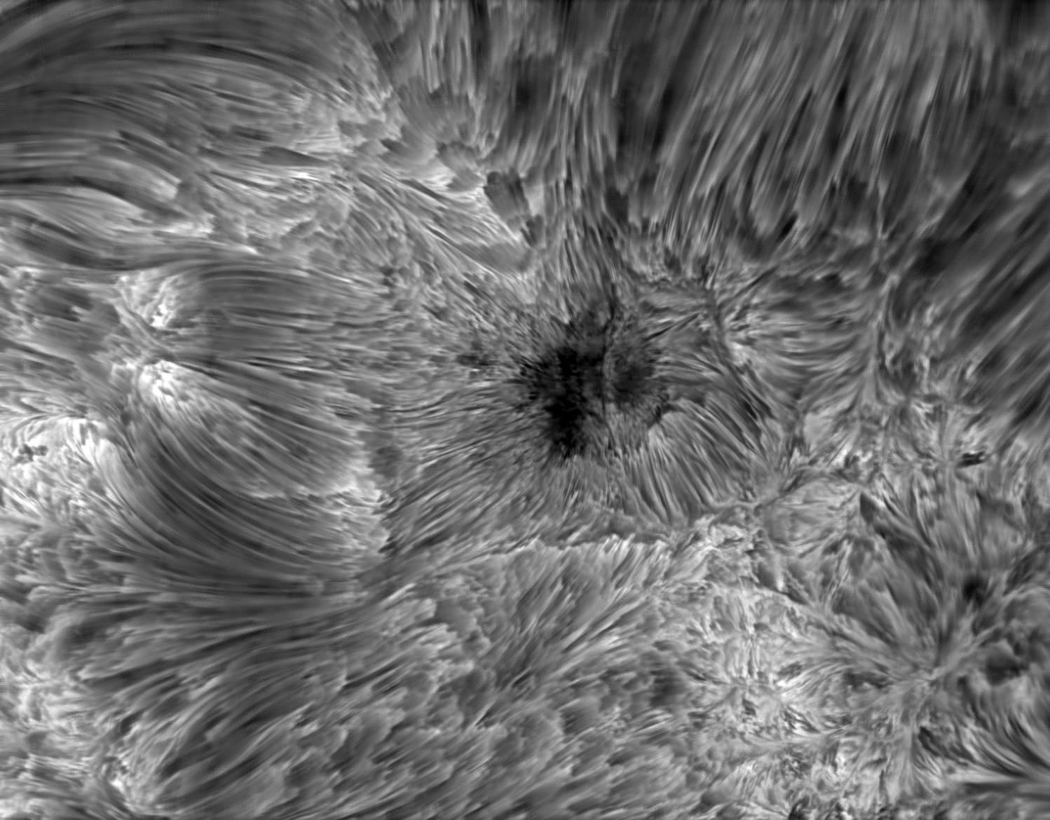 Emerging active region as seen by GREGOR. It's a black and white image of an area swarming with bundles of lines stacked in various orientations. Near center, one area appears especially dark compared to the surroundings.