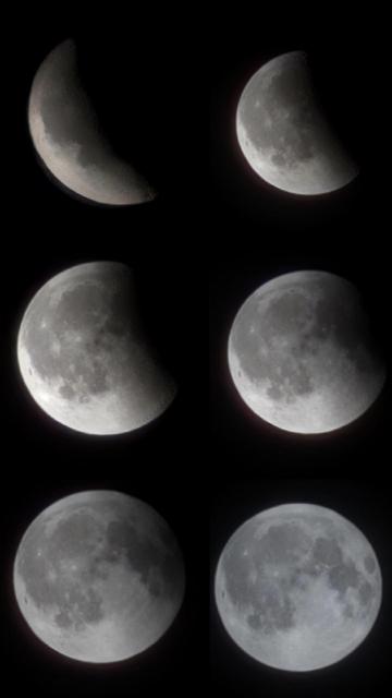 collage of six photos showing the second half of the lunar eclipse