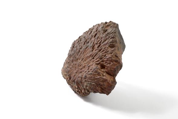 meteorite Horace
