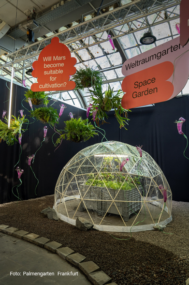 Mock-up of a garden on Mars